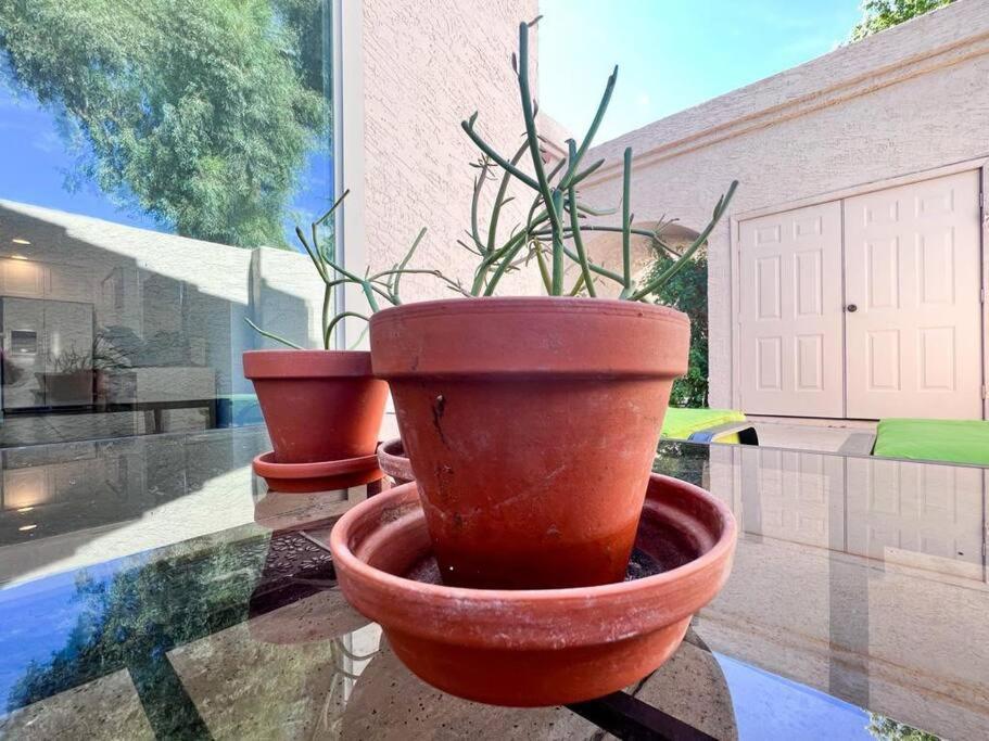 Serene Town Home In Chandler With Pool Holiday home Chandler